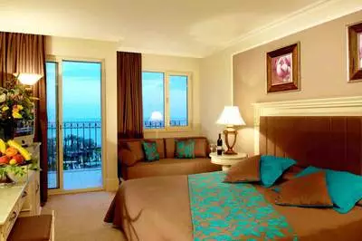 دلفین دیوا پریمیر